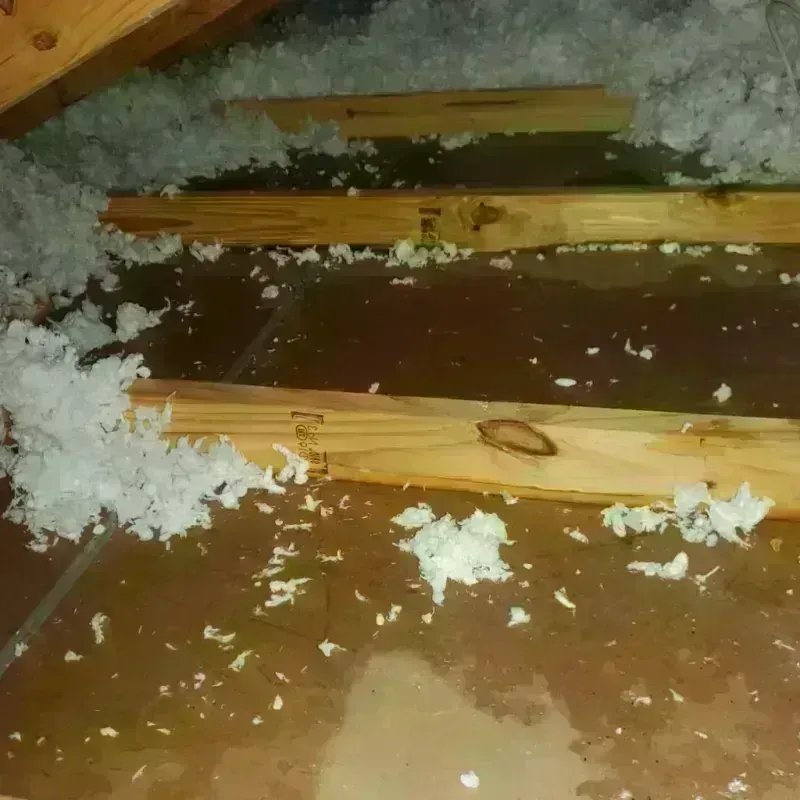 Attic Water Damage in Lillington, NC